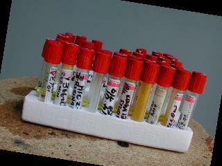 Pollen Vials in Storage Rack