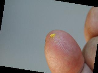 Pollen on Fingertip